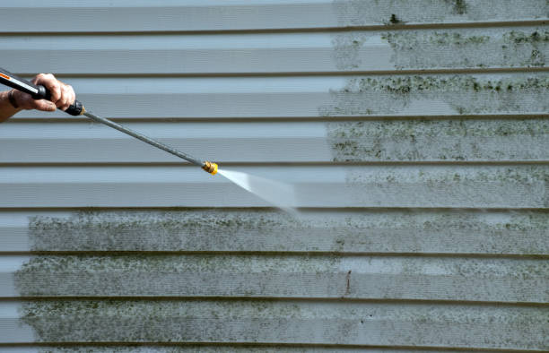 Boat and Dock Cleaning in Many, LA
